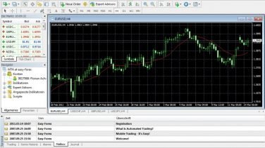 Forex Meta Trader 4 Nedir ?