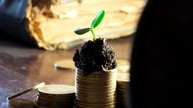 Finansal Özgürlüğü Geri Kazanmak