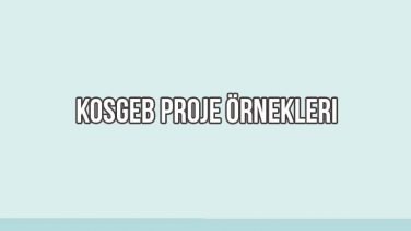 KOSGEB Proje Örnekleri 2020 Analizli Sistem