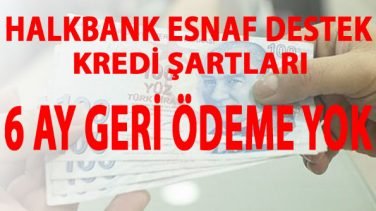 Halkbank Esnaf Destek Kredisi İçin Şartlar Neler ? Esnaf Destek Kredisi Başvuru